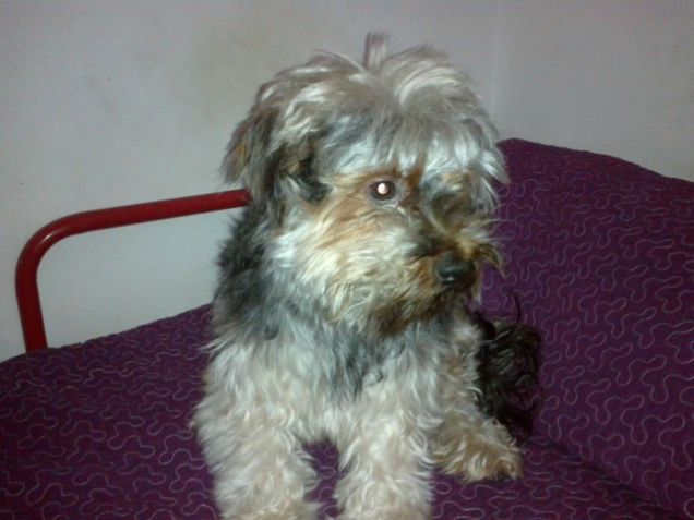 appena fatto il bagnetto