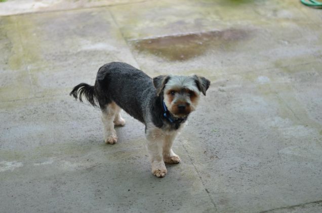 uscito da barbiere.....