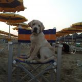 TAYSON E MARGO'