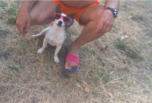 Passami la sdraio che mi prendo un po' di sole!