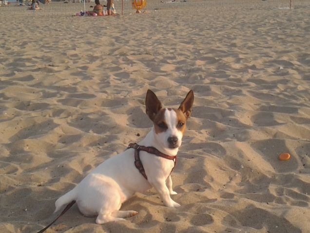 La mia prima estate al mare !!!