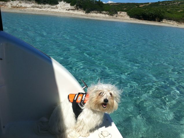 diventerò un marinaio