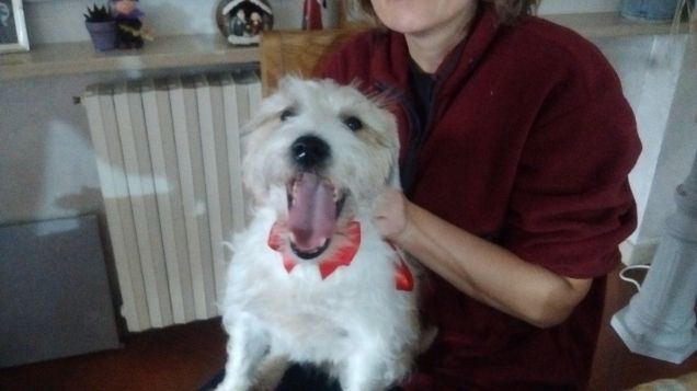 Ho detto ......Buon Annoooooooo