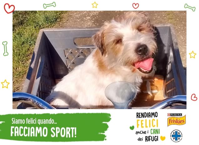 Passeggiando in bicicletta