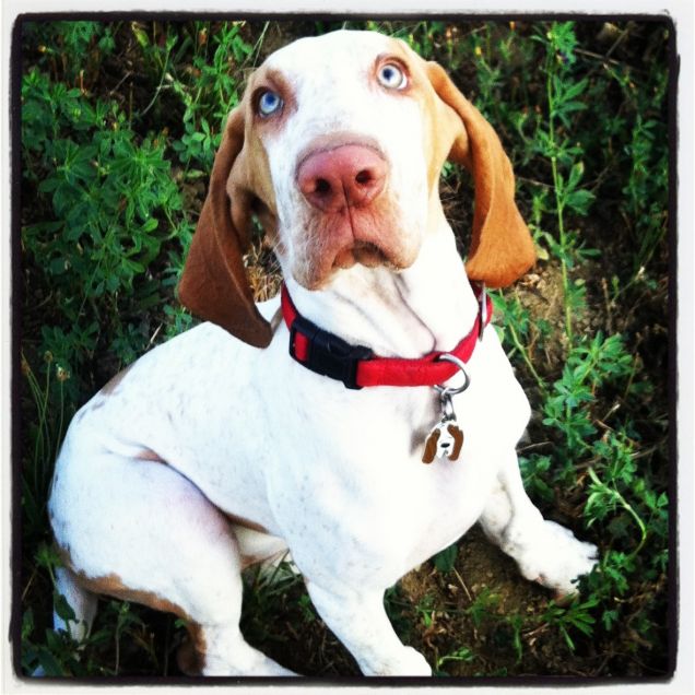 Pronti per lo scatto!!!!