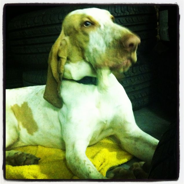 Orgogliosa del mio osso...