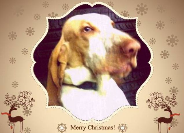 La Miss Petra versione nobil donna