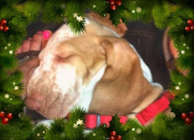 che sonnnoooooo.....