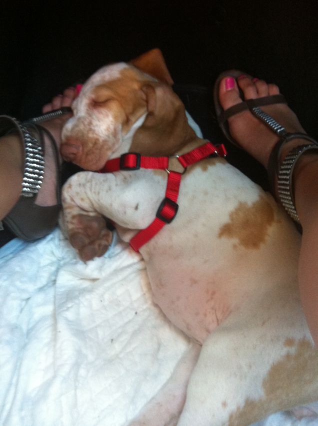 La mia Petra da piccola