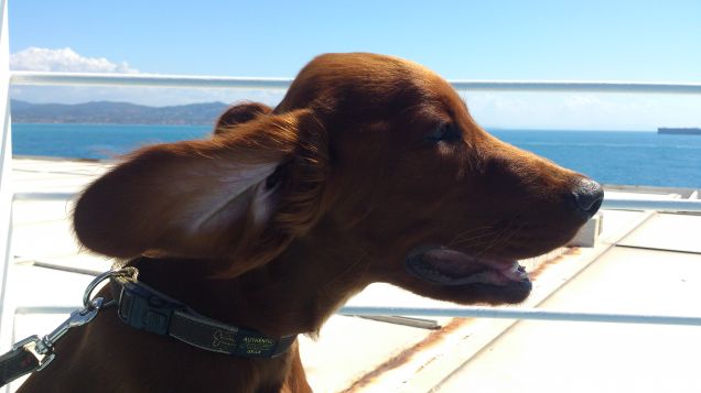 Pedro va in Sardegna