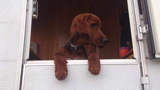Baugiorno da Pedro in camper