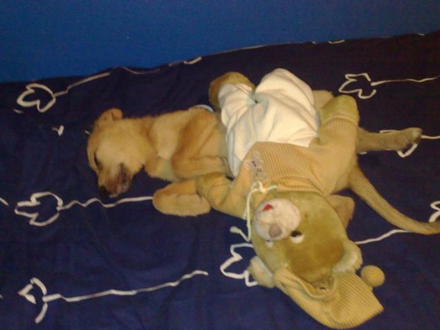 Emily la mia pulce :-)