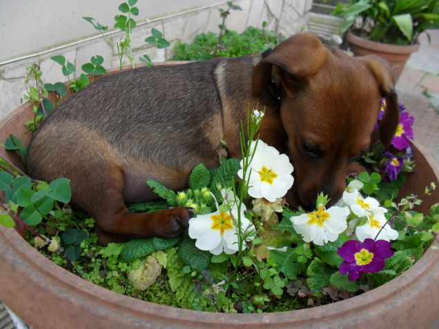 IL MIO THOR!!!!!!!!!!!!!!!!!!!!!!