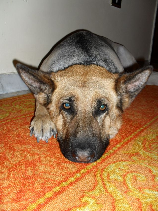 FRIDA !!!!!!!INDIMENTICABILE AMICA!!!!