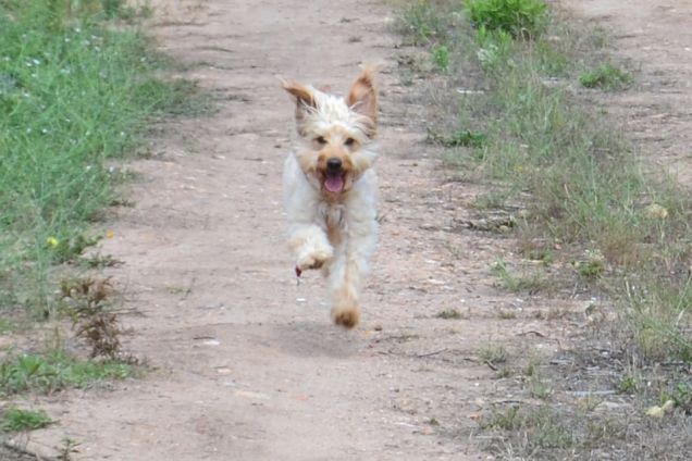 tremenda.........ma adorabile!!!