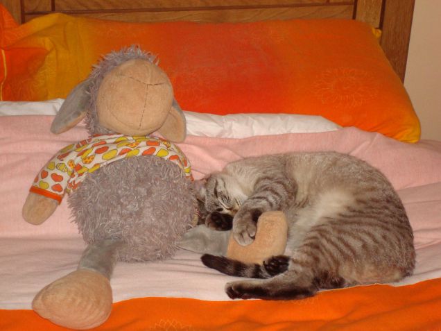 nanna con peluche......