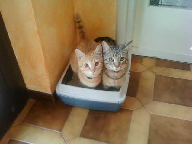 noi facciamo tutto assieme!! anke la pupù