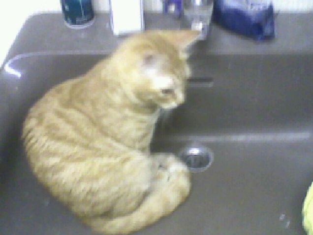 non funziona il lavandinoooo