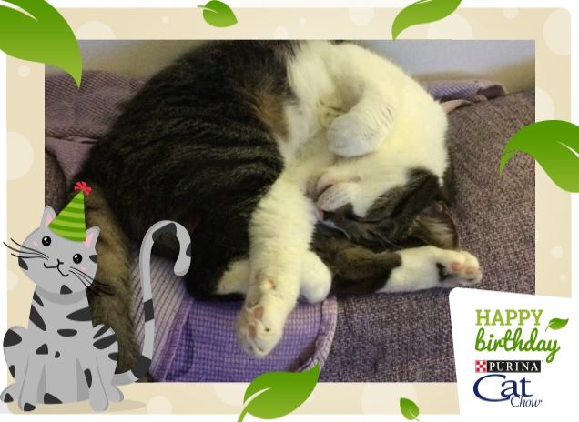 Dormire, più bella cosa c'è 