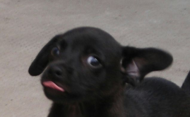 aspettatemi, sto arrivando!