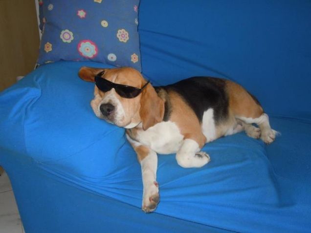 Che fatica questa vita!