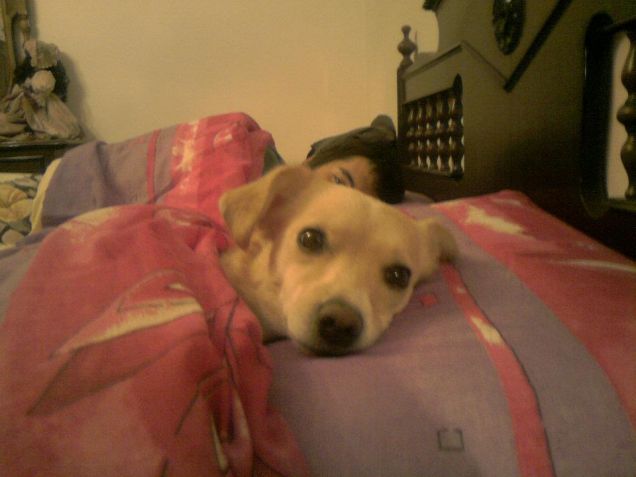 Nel lettone ci dormo io..!