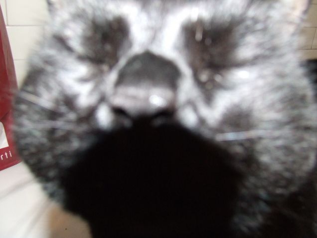 sempre più vicino!! :)