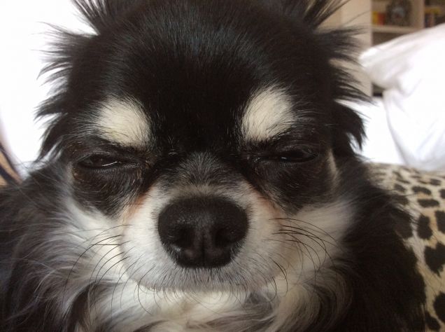 Il Nachetto addormentato