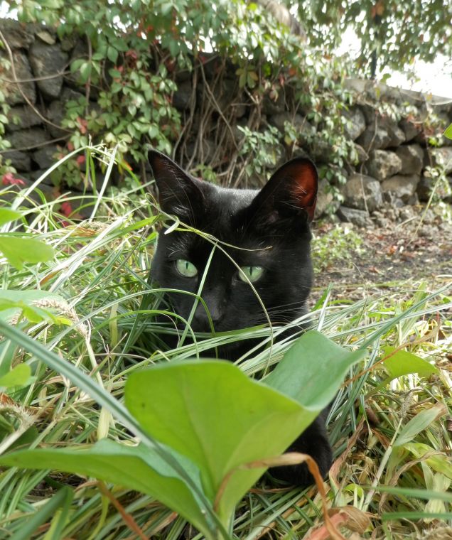Marocco il cacciatore