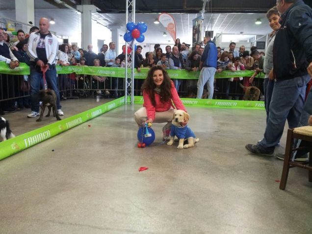 Hurricane il campione!