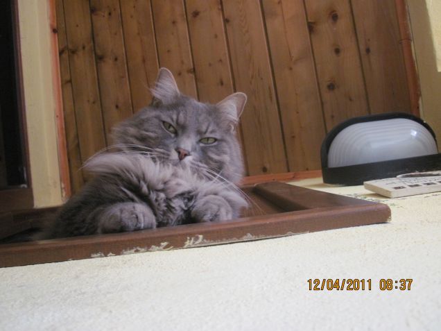 ti tengo d'occhio.....