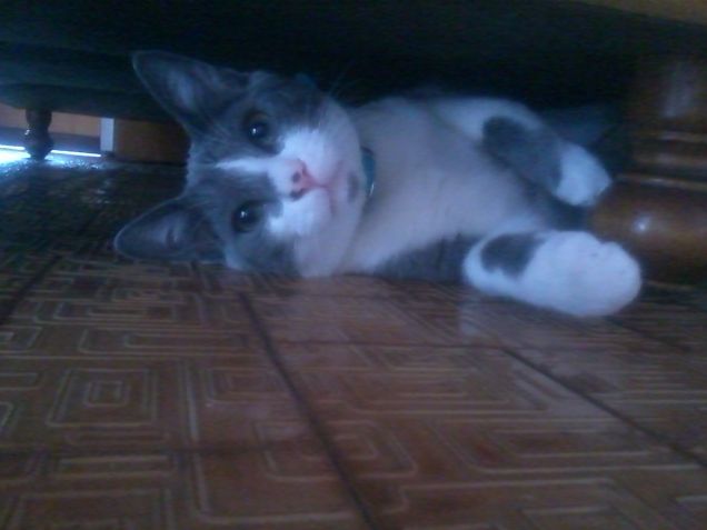 Che occhioni dolciiii