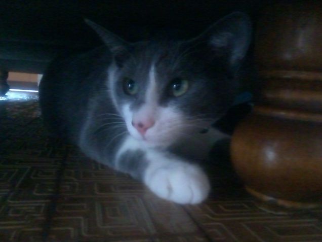 Qua non mi prende nessuno!