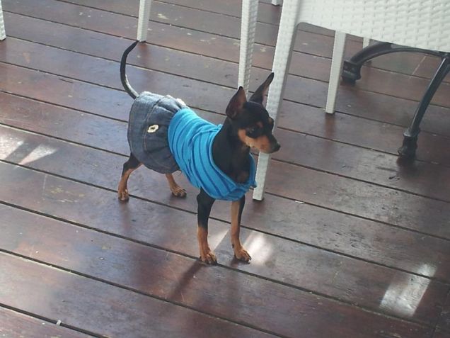 domenica a passeggio