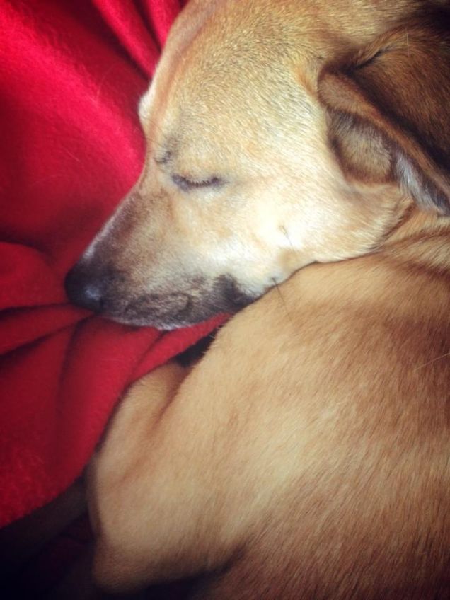 ninna nanna al calduccio