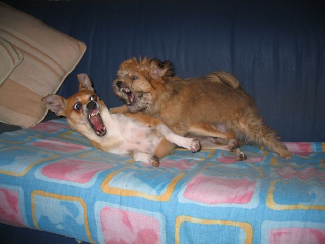 Giornata di giochi tra Mamma e Figlio