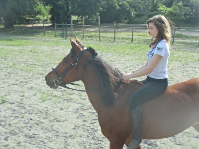 Compagne inseparabili: Bebas e Caterina