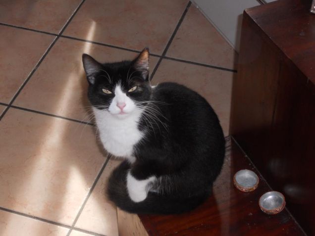 Bubilina.... ti fulmina con uno sguardo!