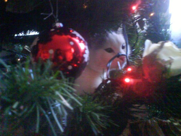 Romeo e l'albero di natale