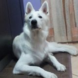 Eyssey Album Foto