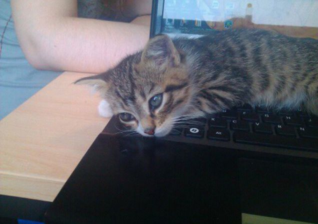 Il mio piccolo al computer