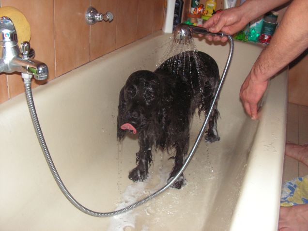 lilli fa la doccia!! in vasca!!