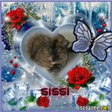 sissi