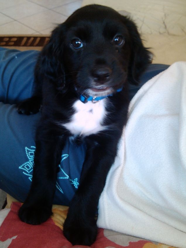 Blue appena sveglio...