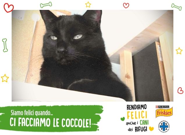 Da quassù controllo tutto