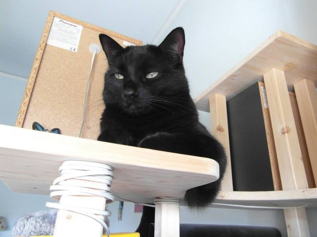 Da quassù controllo tutto