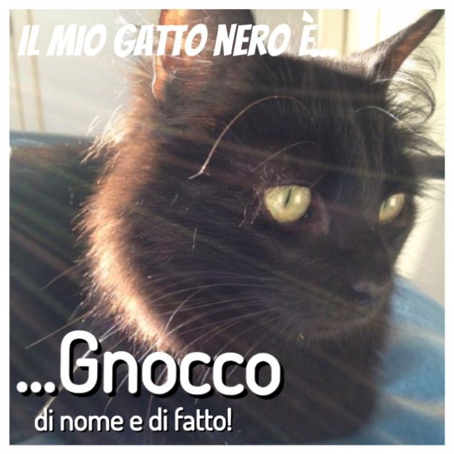 Il mio cuoricino NERO...