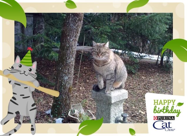 minnie sulla postazione di caccia