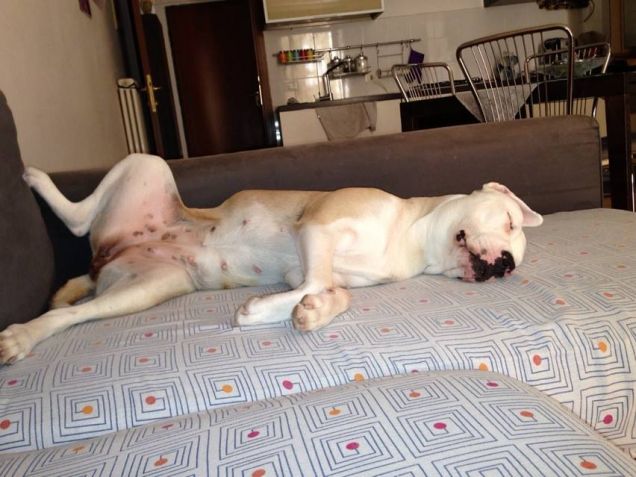 e si sta proprio comodi