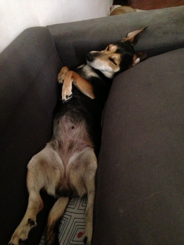 E sì, così dormo proprio bene!